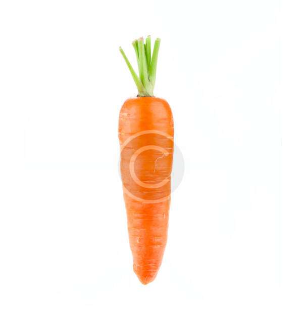 Carrot