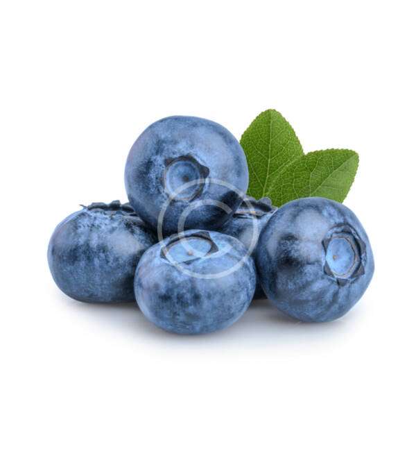 Fresh Blueberry